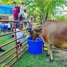 Check spelling or type a new query. Rent A Petting Zoo Barnyard Party Farm Birthday Party