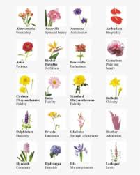You can print flower chart by right click on chart and select save image as flowers. Name Kinds Of Flowers Free Transparent Clipart Clipartkey