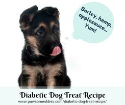 Early detection and management of the disease are key. Diabetic Dog Treat Recipe With Barley And Hemp Hearts Pawsomeoldies Com