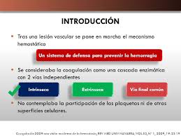 Cascada de coagulacion intrinseca y extrinseca pdf admin march 13, 2020 march 13, 2020 no comments on cascada de coagulacion intrinseca y extrinseca pdf los factores de la coagulación de la vía extrínseca se activan al producirse el la coagulación también puede activarse por la vía intrínseca al entrar en. Cascada De La Coagulacion Ppt Descargar
