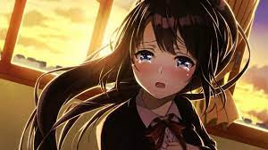 Un artista doujin no vendió nada durante la Comiket, pero dice que le fue  bien