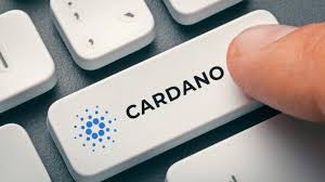 Tusindvis af nye billeder af høj kvalitet tilføjes hver dag. Cardano Now Supported On Hardware Wallet Trezor Usethebitcoin