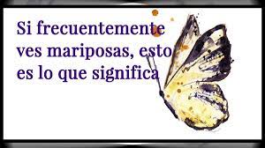 Esto Es Lo Que Significa Si Ves Mariposas Frecuentemente