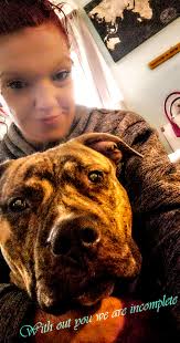 Milton NH pets lost and found