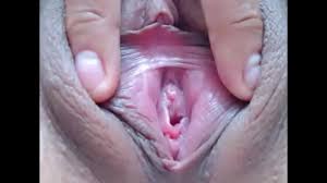 Puta de xela me manda video de chicas de corte bailando y cogiendo