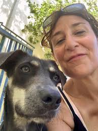 Holden is wondering where his forever family is? He is a fun, young dog  that gets along with everyone he meets. He is great with other dogs and  love kids. As you