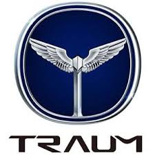 Traum Branded Cars Are Manufactured By Jiangnan Auto A Subsidiary Of Zotye Most Famous For Building China S Cheapest Car Car Logos Car Badges Car Emblem