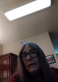 Introduction to animal lover