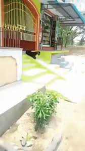 My entire life, in a squirrel gif. Https Giphy Com Gifs Office Different 10gi5lhp3zi7w4 2016 05 23t20 25 25 00 00 Weekly 0 8 Https Media2 Giphy Com Media 10gi5lhp3zi7w4 Giphy Gif Eric Stonestreet Show Gif Https Giphy Com Gifs Rpdr Grace Jones Rupaul Snapshot 10lqzcswzdowds