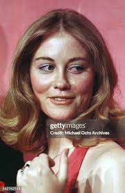 94 Chandler Shepherd Stock Photos, High-Res Pictures, and Images