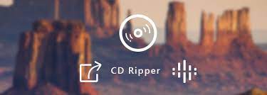 What's more, you can adjust audio settings like audio encoder, channels, sample rate and audio bitrate. Top 10 Cd Rippers To Convert Cds To Mp3 Or Wav Files With Ease