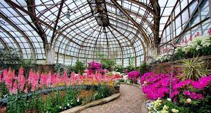 Find the perfect building to live in by filtering to your preferences. Lincoln Park Conservatory Will Bring Spring Flower Show Pretty In Pink To A Close On Mother S Day Secret Chicago