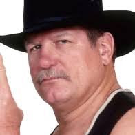 Stan Hansen: Profile, Career Stats, Face/Heel Turns, Titles Won & Gimmicks 