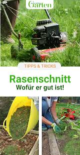 Rasenschnitt Zu Schade Fur Die Biotonne In 2020 Rasen Gruner Rasen Kompostieren