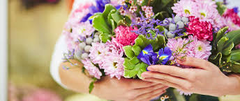 Blumen & Pflanzen | Wir verzaubern mit einem vielfältigen Angebot