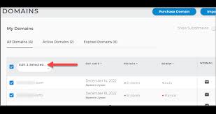 Domain Management How To Update Multiple Domains