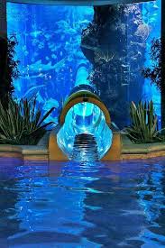 Golden Nugget Las Vegas Water Slide Through Shark Aquarium Places To Travel Vacation Spots Places To Visit