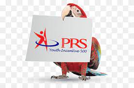 Those who have reached the age of 31 after the incentive's implementation does not qualify. Retirement Private Pension Investment Employees Provident Fund Insufficient Funds Investment Logo Malaysia Png Pngwing