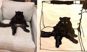Bad Pet Drawings Wisconsin Humane Society Donation 2020 Hayvan Barinagi Hayvan Evcil Hayvanlar