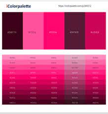 Information about hot pink / #ff69b4. 21 Latest Color Schemes With Maroon And Hot Pink Color Tone Combinations 2021 Icolorpalette