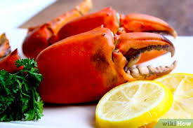 Teaches you how to cook a crab claw. 3 Ways To Cook Stone Crab Claws Wikihow