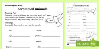 This section is based on the uk literacy programme, letters and sounds. Scrambled Animals Worksheet Worksheet Teacher Made
