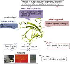 There are many human proteins which have long. Enzymes Revolutionize The Bioproduction Of Value Added Compounds From Enzyme Discovery To Special Applications Sciencedirect