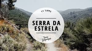 Linhas compostas por animais da raça angus e também pela marca novilha jovem. Serra Da Estrela 11 Tipps Fur Portugals Unbekanntes Hinterland Reisevergnugen