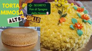 We did not find results for: Torta Mimosa Segreto Pan Di Spagna Della Nonna Alto E Giallo Youtube