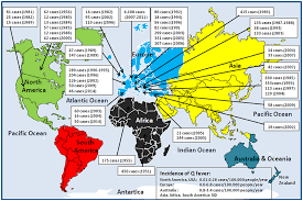 Image result for Q Fever