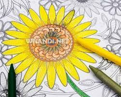Mewarnai gambar bunga matahari aneka gambar gambar sumber : Bunga Matahari Gambar Mewarnai Bunga Download Kumpulan Gambar