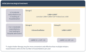 Image result for Medications in COPD Management