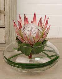 King Protea In A Vase Jpg 360 460 King Protea Protea Flower Arrangements