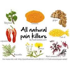 Pin On What S Cooking