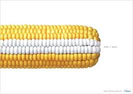 Pin On Vegetable Soup