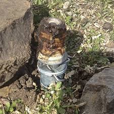 Image result for Cyanide