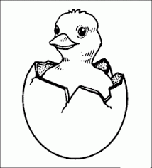 Hayvan Boyama Sayfasi Animal Coloring Pages Panosundaki Pin