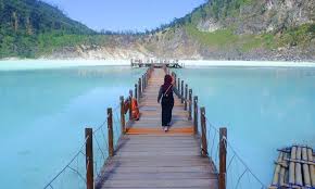 Ikan zebra, ikan hias dengan corak yang menarik. 30 Tempat Wisata Di Bandung Terbaru Yang Sedang Hits Dan Instagenic