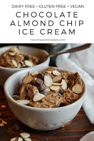 Homemade Chocolate Almond Chip Ice Cream Recipe In 2020 Healthy Dessert Recipes Vegan Sweets Chocolate Almonds