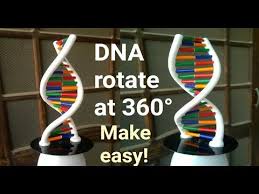 How To Make Dna Model Using Clay Rotating Dna Model Youtube