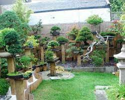 Bonsai Garden Design Outdoor Bonsai Tree Bonsai Tree Types Bonsai Garden