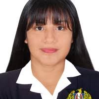 40+ perfiles de «Liseth Rojas»