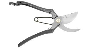 Japanese Sokan Garden Bonsai And Topiary Shears