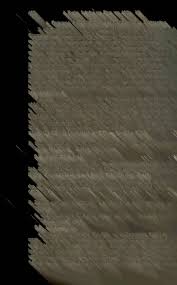 Image result for Inversodicraea tenax