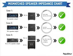 Can I Use That Cab With My Head Ohms Guide Made Simple By