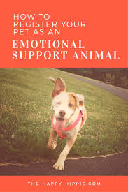We did not find results for: How To Register A Cat As An Emotional Support Animal Arxiusarquitectura