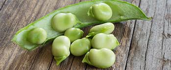 Le fave si prestano ad innumerevoli ricette, vediamo allora come cucinare le fave: Come Cucinare Le Fave Tutto Quello Che C E Da Sapere Galbani