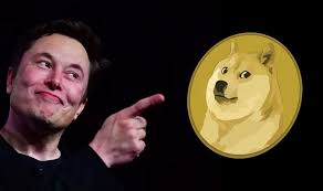 By friday, rally plans appeared to falter. Tesla Ceo Elon Musk Is Reportedly Under Sec Investigation Over Dogecoin Tweets Bulliscoming