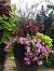 Inexpensive Large Planter Ideas