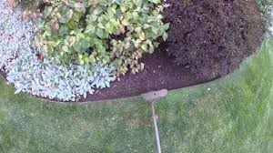 Shindaiwa string trimmer review finding the best string trimmer. Shindiawa T242 Trimmer In Action Youtube